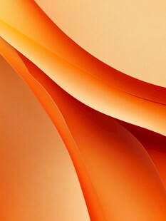 橘红色动感曲线背景