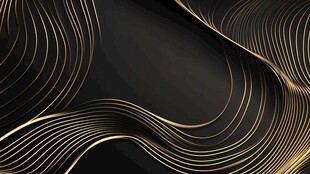 金色线条kv