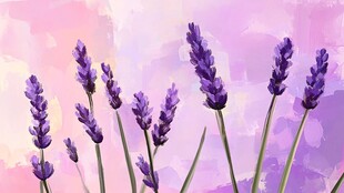 彩绘唯美薰衣草挂画