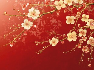 工笔手绘红墙梅花