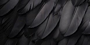 黑鸡翅纹理