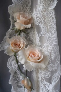 婚纱上的玫瑰