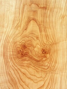 木纹剖面