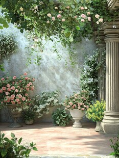 庭院蔷薇花墙