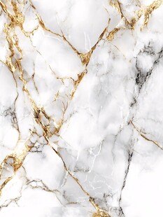 抽象金色线条大理石纹