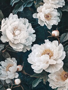 立体手绘牡丹花卉