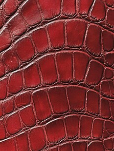 鳄鱼皮革素材