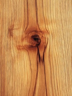 高清木材剖面纹理