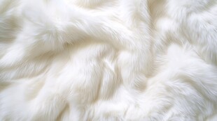 白色毛皮背景
