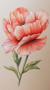 彩铅质感花卉