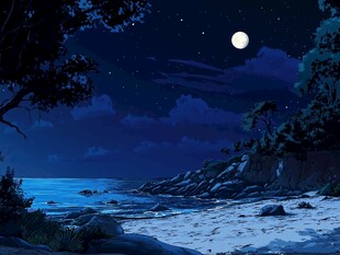 静静的海边夜景