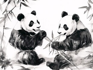 手绘插画大熊猫