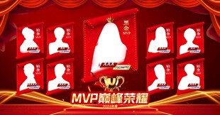 铂金黑金