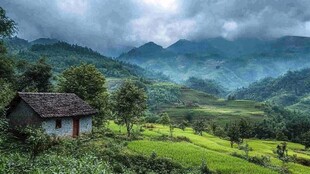 山谷中的绿色小屋