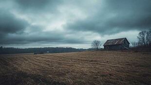 阴沉的乡村风景