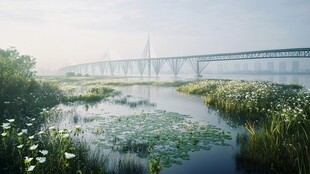 雾蒙蒙的早晨 桥下湿地的美丽风景