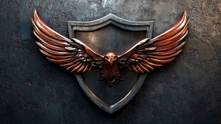 金属之翼的守护