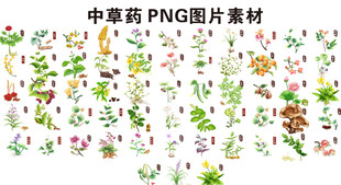 中草药 