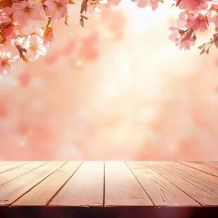 春日木板路与樱花盛开