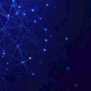 数字化转型的复杂数字网络