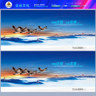 公司发展历程