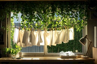 阳光下的自然洗衣日