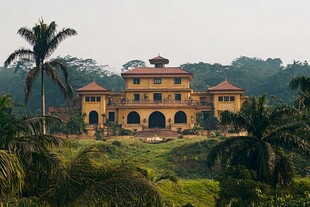 神秘的黄色城堡 隐藏在热带雨林之中