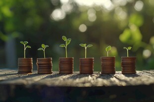 金融增长的隐喻