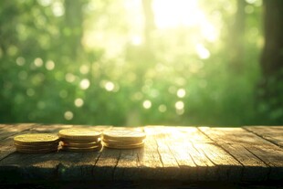 阳光下的财富积累