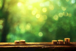 金融与自然的和谐共生