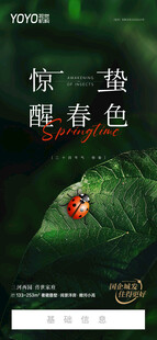 惊蛰微信刷屏稿