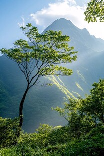 清新自然之景