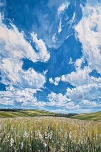 蓝天白云下的金色田野