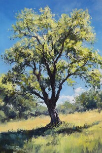 阳光下的孤独树