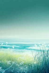 海边的宁静早晨