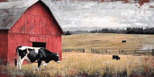 红谷仓前的奶牛