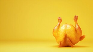 烤鸡的黄色世界