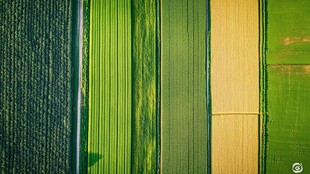 农业丰收的鸟瞰图