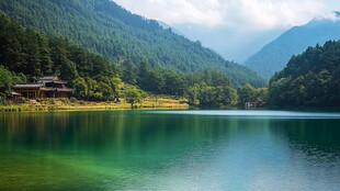 碧水静悠悠 山色苍翠欲滴