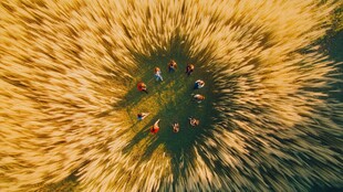 金色田野中的圆形聚集