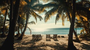 棕榈树下的宁静海滩