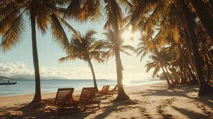 日落下的棕榈海滩