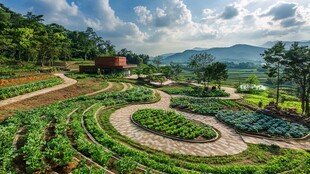 梯田花园 山丘上的绿洲