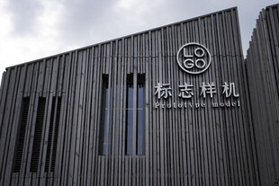 LOGO样机