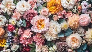 五彩斑斓的花海