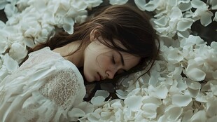 花瓣之梦