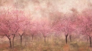 樱花盛开的梦幻田野