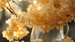 金色花束与透明玻璃壶