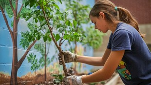 年轻女孩种植树苗