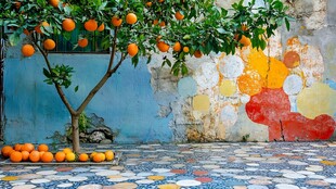 橙色与艺术的和谐融合